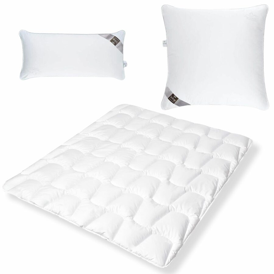 DELuxe SWAN-SET: 2x Bettdecke 135x200 Winter + 2 Kopfkissen 