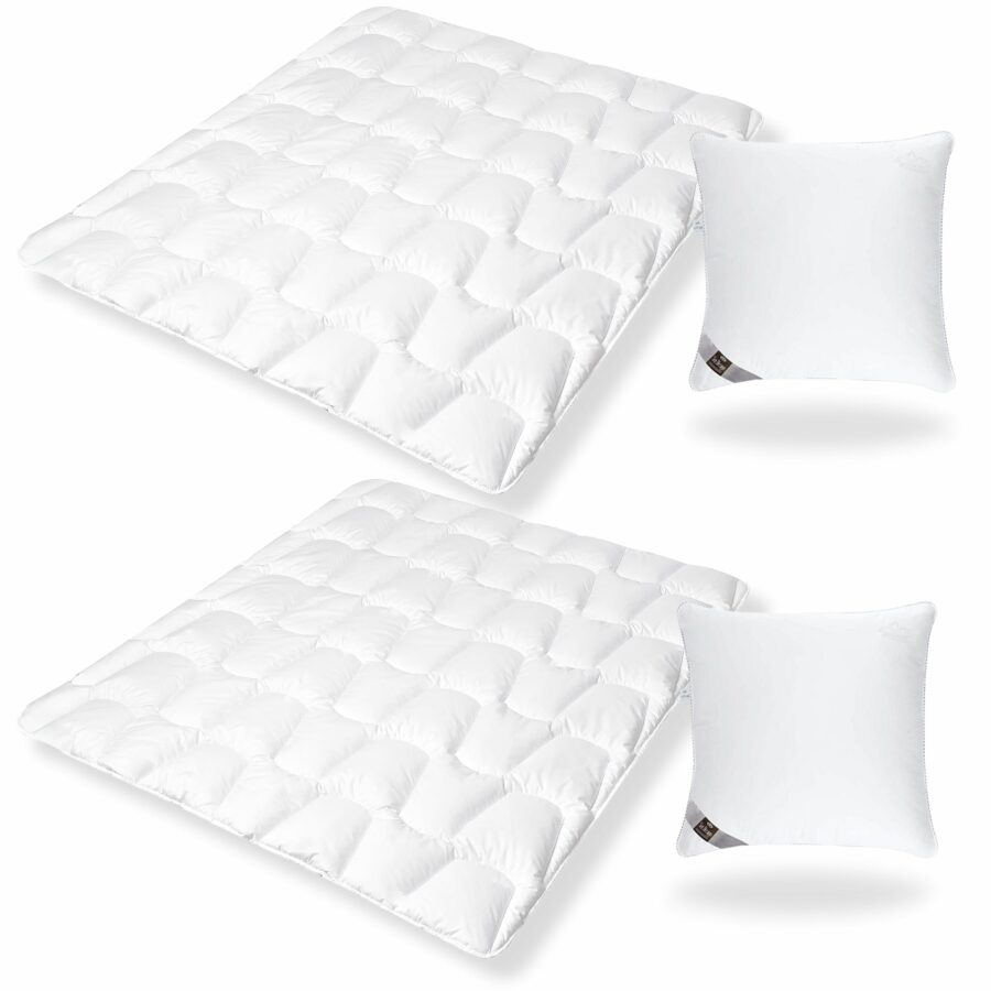 sei Design SWAN de Luxe 200x220 Set Winter &ndash; 1x...