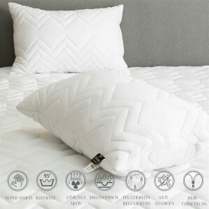 Classic Dream Pillow Microfiber, 2-Pack