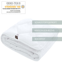 Classic Dream Collection, 2 Piece Set, All-Season Duvet 135x200 and Pillow 80x80
